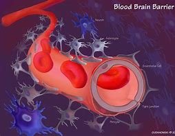 Cyrex Array 20 - Blood-Brain Barrier Permeability (Includes Doctor's Consultation on All Test Results)