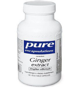 Ginger Extract - 120 Capsules
