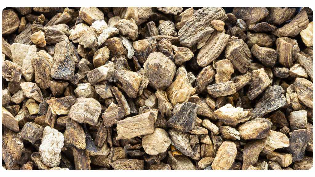 Why would you take Collinsonia Root?